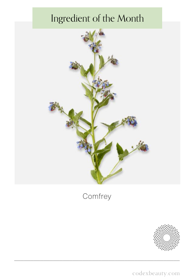 Ingredient of the Month: Comfrey