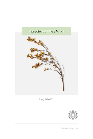 Ingredient of the Month: Bog Myrtle